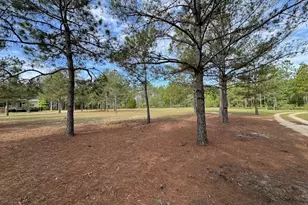 138 Brannon Montgomery Rd, Mauk, GA 31058 - Photo 50