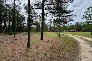 138 Brannon Montgomery Rd, Mauk, GA 31058 - Photo 26