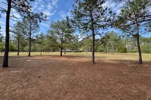 138 Brannon Montgomery Rd, Mauk, GA 31058 - Photo 52