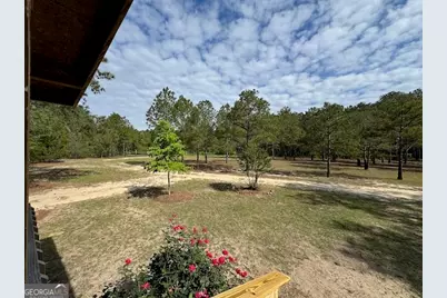 138 Brannon Montgomery Road, Mauk, GA 31058 - Photo 38