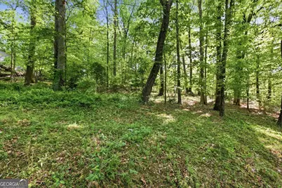 3691 Ledan Road, Gainesville, GA 30506 - Photo 6