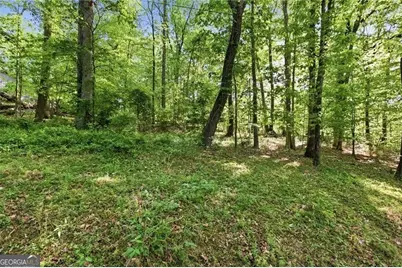 3691 Ledan Road, Gainesville, GA 30506 - Photo 6