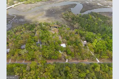 1225 Julienton Drive NE, Townsend, GA 31331 - Photo 22