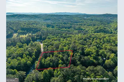 Lot 42 Harris Creek Drive, Ellijay, GA 30540 - Photo 6