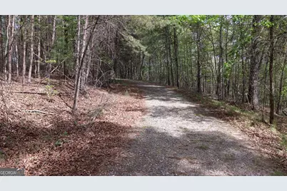 Lot 20 Horseshoe Bend Road, Dahlonega, GA 30533 - Photo 4