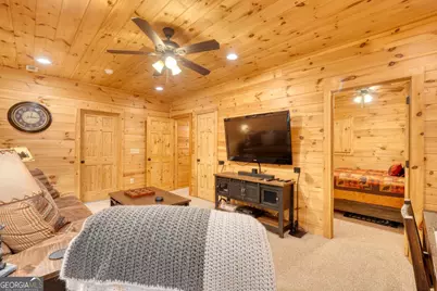 215 The Woods Road, Mineral Bluff, GA 30559 - Photo 24