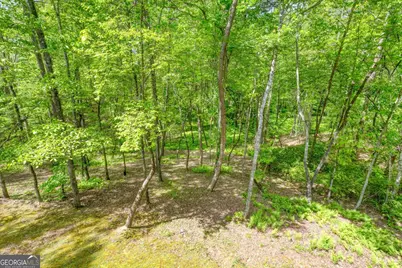215 The Woods Road, Mineral Bluff, GA 30559 - Photo 30