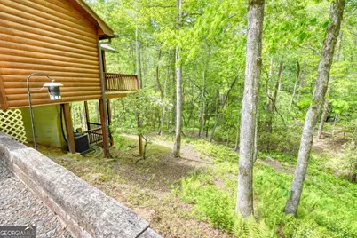 215 The Woods Road, Mineral Bluff, GA 30559 - Photo 38