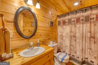 215 The Woods Road, Mineral Bluff, GA 30559 - Photo 16
