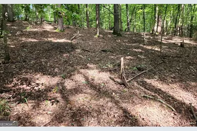 Lot 838 Oneida Circle, Ellijay, GA 30540 - Photo 4