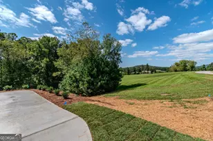 1250 Owen Glen Dr, Blairsville, GA 30512 - Photo 78