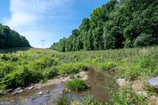 134 Hamway Ln, Winder, GA 30680 - Photo 60