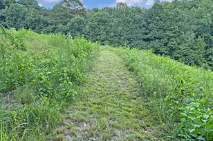 134 Hamway Ln, Winder, GA 30680 - Photo 66