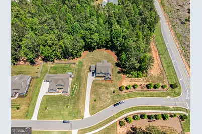 33 Ryeland Drive, Senoia, GA 30276 - Photo 8