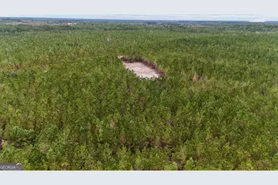 Tract 7 and 8 Penny Morris Road, Baxley, GA 31513 - Photo 2