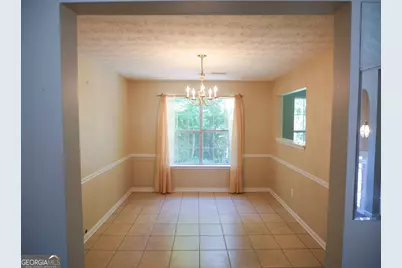 11036 Pebble Ridge Drive, Hampton, GA 30228 - Photo 8