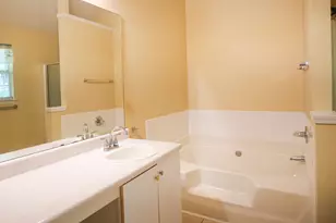 11036 Pebble Ridge Dr, Hampton, GA 30228 - Photo 18