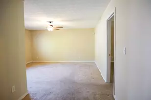 11036 Pebble Ridge Dr, Hampton, GA 30228 - Photo 28