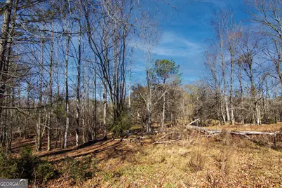 Tract 2 - 0 St. Paul Church Road, Shiloh, GA 31826 - Photo 8