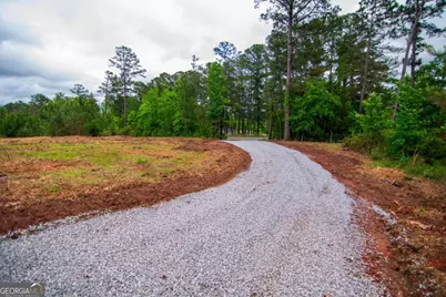 Tract 2 - 0 St. Paul Church Road, Shiloh, GA 31826 - Photo 2