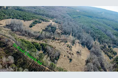 Tract 2 - 0 St. Paul Church Road, Shiloh, GA 31826 - Photo 16