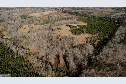 Tract 2 - 0 St. Paul Church Road, Shiloh, GA 31826 - Photo 18