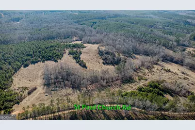 Tract 2 - 0 St. Paul Church Road, Shiloh, GA 31826 - Photo 14