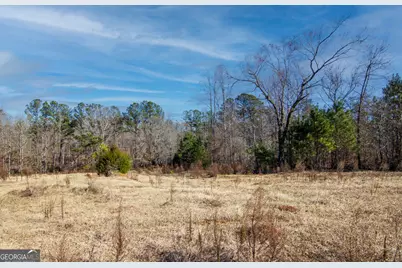 Tract 2 - 0 St. Paul Church Road, Shiloh, GA 31826 - Photo 4