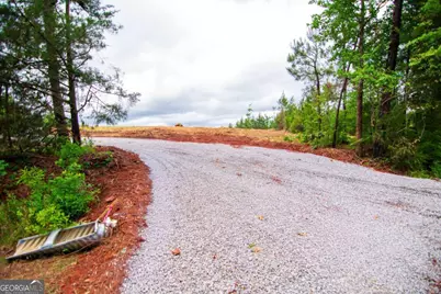 Tract 2 - 0 St. Paul Church Road, Shiloh, GA 31826 - Photo 6