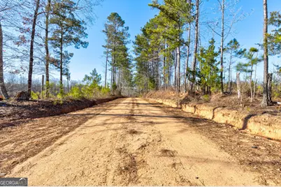 Tract 2 - 0 St. Paul Church Road, Shiloh, GA 31826 - Photo 6