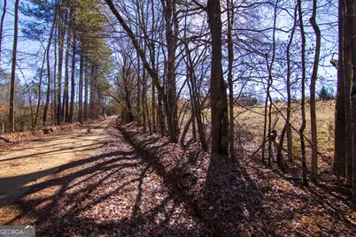 Tract 2 - 0 St. Paul Church Road, Shiloh, GA 31826 - Photo 2