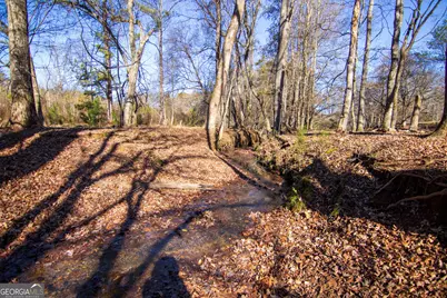 Tract 2 - 0 St. Paul Church Road, Shiloh, GA 31826 - Photo 12