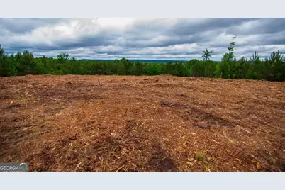 Tract 2 - 0 St. Paul Church Road, Shiloh, GA 31826 - Photo 22
