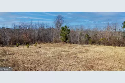 Tract 6 - 0 Chestnut Grove Road, Shiloh, GA 31826 - Photo 6