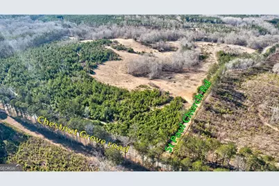 Tract 6 - 0 Chestnut Grove Road, Shiloh, GA 31826 - Photo 18