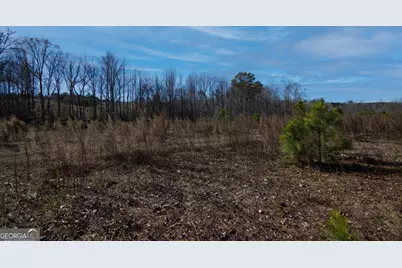 Tract 6 - 0 Chestnut Grove Road, Shiloh, GA 31826 - Photo 1
