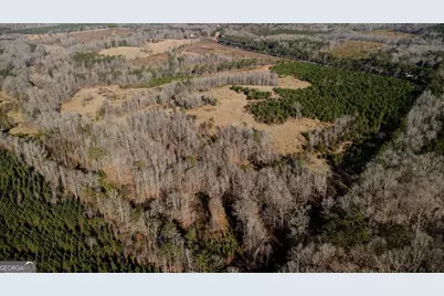 Tract 6 - 0 Chestnut Grove Road, Shiloh, GA 31826 - Photo 20