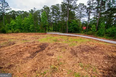 Tract 6 - 0 Chestnut Grove Road, Shiloh, GA 31826 - Photo 4