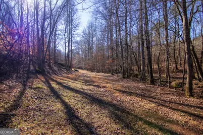 Tract 6 - 0 Chestnut Grove Road, Shiloh, GA 31826 - Photo 4