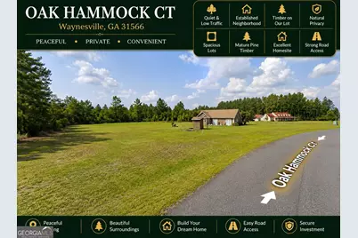 0 Oak Hammock Court, Waynesville, GA 31566 - Photo 12