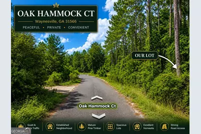 0 Oak Hammock Court, Waynesville, GA 31566 - Photo 4