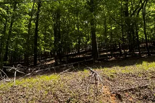 381 Hillside Dr, Waleska, GA 30183 - Photo 1