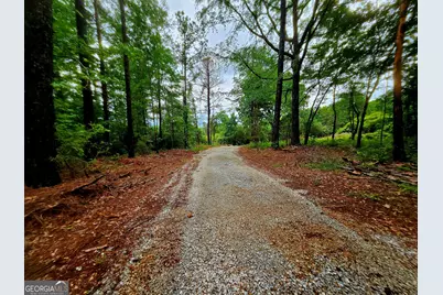 0 School House Hill Road, Franklin, GA 30217 - Photo 2