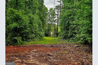0 School House Hill Road, Franklin, GA 30217 - Photo 6