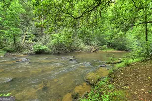300 River Rd, Cherrylog, GA 30522 - Photo 96