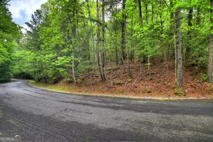 300 River Rd, Cherrylog, GA 30522 - Photo 108