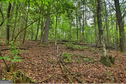 300 River Road, Cherrylog, GA 30522 - Photo 92