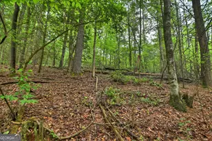 300 River Rd, Cherrylog, GA 30522 - Photo 92