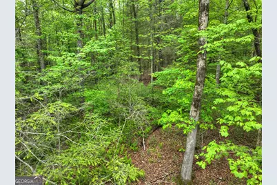 300 River Road, Cherrylog, GA 30522 - Photo 98
