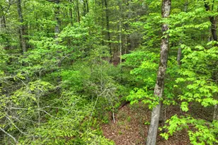 300 River Rd, Cherrylog, GA 30522 - Photo 98